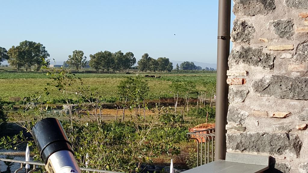 Villa Oasi Di Francesca La Rotondella Esterno foto