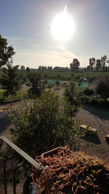 Villa Oasi Di Francesca La Rotondella Esterno foto